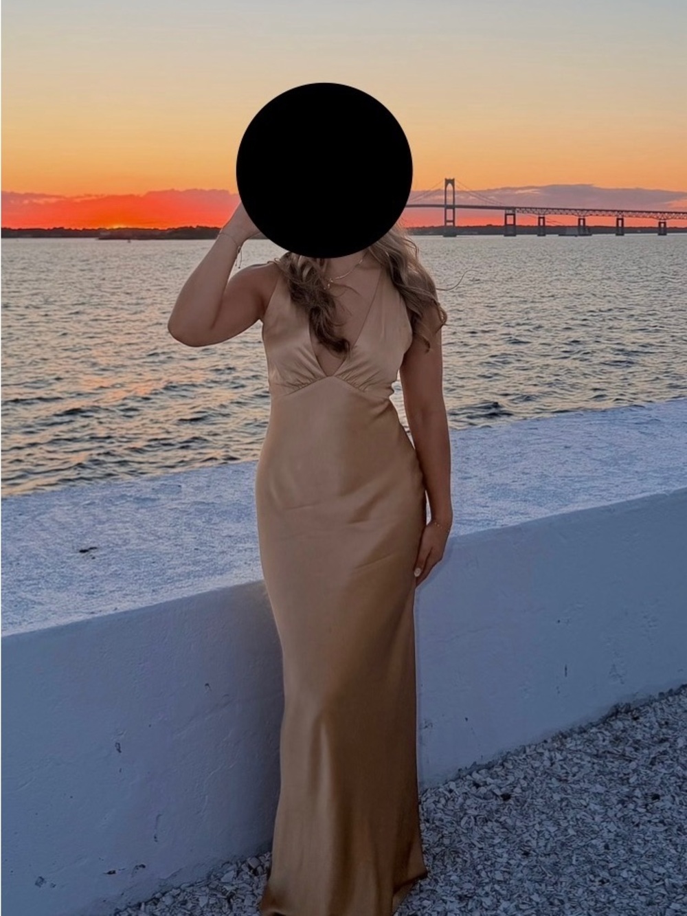 Shona Joy Oliviera Plunge cross back Maxi Dress - Picture 5 of 6
